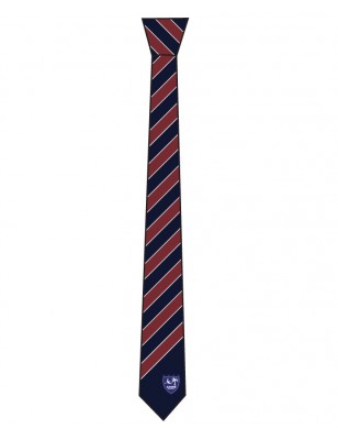 6th Form Tie -- [6TH FORM]