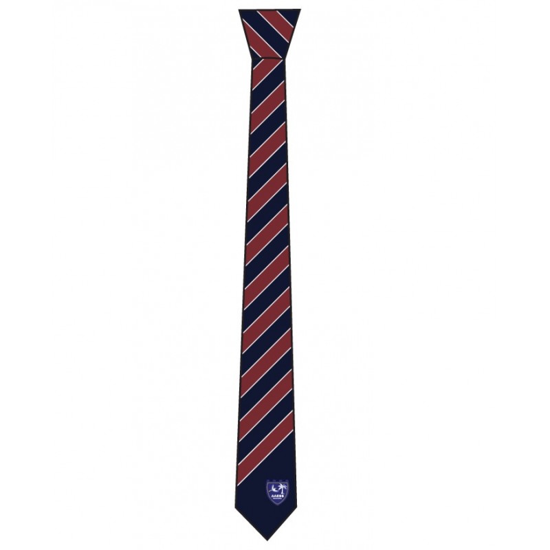 6th Form Tie -- [6TH FORM]
