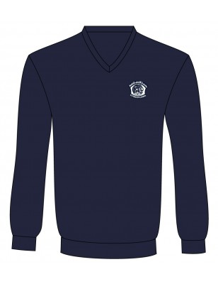 Navy Blue V-Neck Sweater