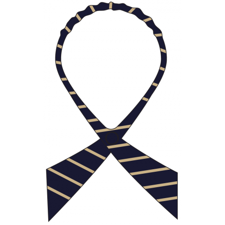 Bow Tie -- [GRADE 9 - GRADE 12]