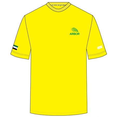 HC Yellow -- [Foundation - Secondary]