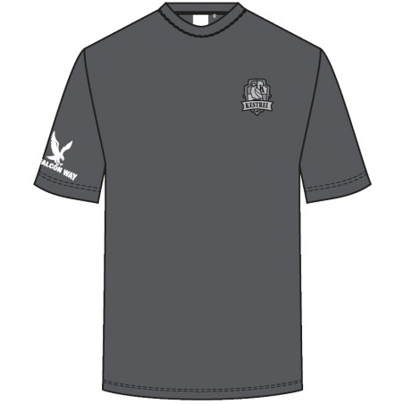 House Color (Grey) -- [Elementary, Middle, High School]