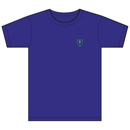 HC Blue (Falcons) -- [FS1 - YEAR 13]