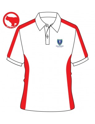 Skyblue Polo T-Shirt -- [FS2 / KG1]