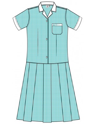 Check Dress -- [FS1 - YEAR 6]