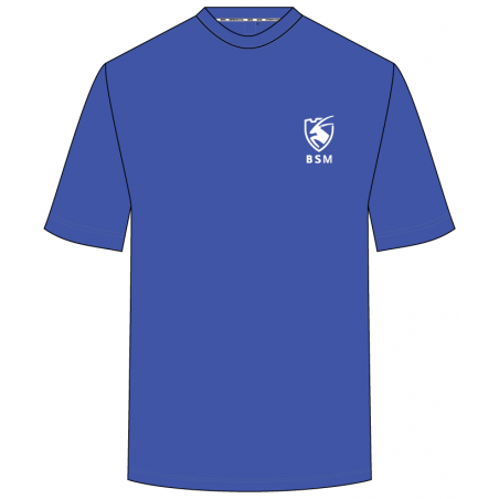 Blue P.E T.Shirt -- [FS1 - YEAR 13]