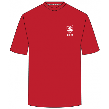 Red P.E T.Shirt -- [FS1 - YEAR 13]