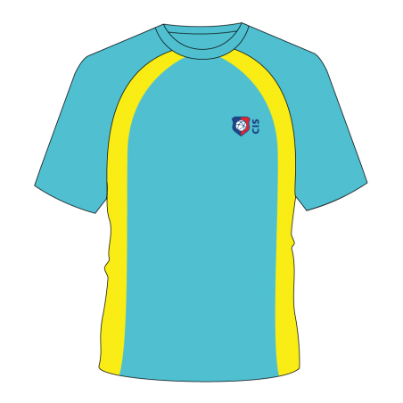 Teal Yellow Gold Panel [ P.E ] T.Shirt -- [Pre-K - GRADE 12]