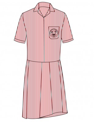 Red And White Stripe Dress --[FS1]