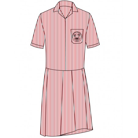 Red And White Stripe Dress --[FS1]