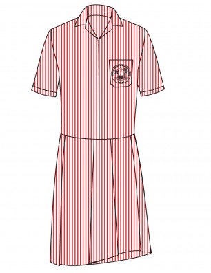 Red And White Stripe Dress --[FS1]