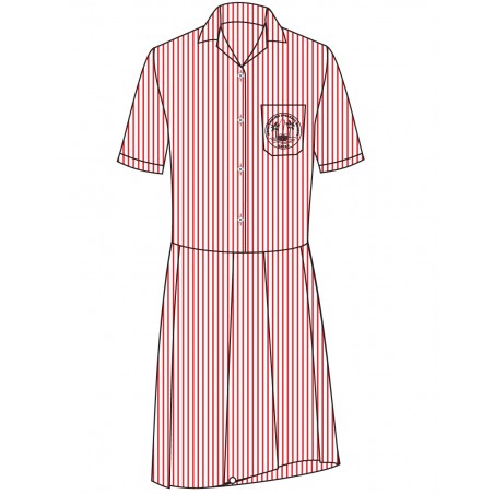 Striped Dress -- [FS2 - YEAR 6]