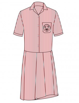 Striped Dress -- [FS2 - YEAR 6]