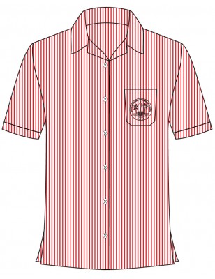 Red & White Stripe Blouse -- [FS2 - YEAR 6]