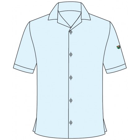 Skyblue Blouse With Logo