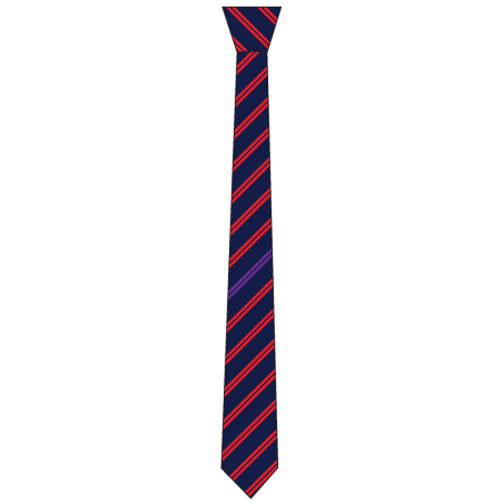 Normal Tie (Purple Stripe) -- [YEAR 7 - YEAR 11]