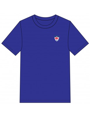 Blue HC Polo T.Shirt -- [PRE-K - GRADE 12]