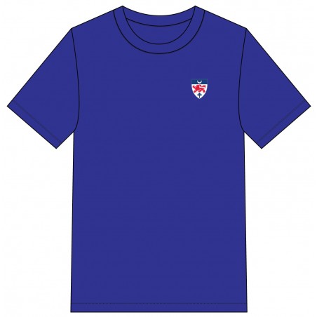 Red HC Polo T.Shirt -- [PRE-K - GRADE 12]