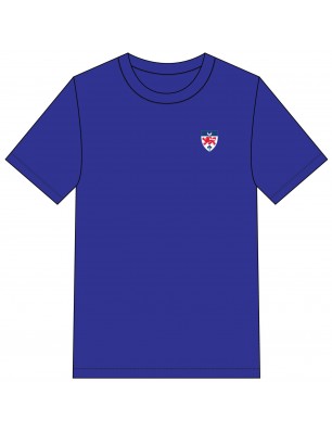 Blue HC Polo T.Shirt -- [PRE-K - GRADE 12]
