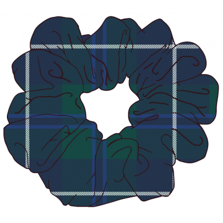 Green Scrunchies -- [PRE-SCHOOL - YEAR 11]