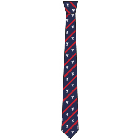 Blue/Maroon Tie -- [YEAR 9 - YEAR 11]