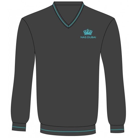 V-Neck Full Sleave Sweater With Logo