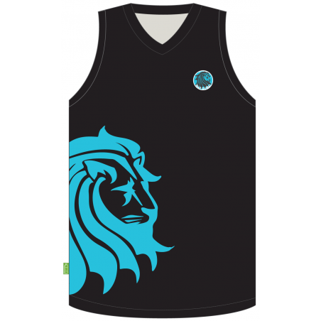 Basketball Vest -- [TEAM KIT]