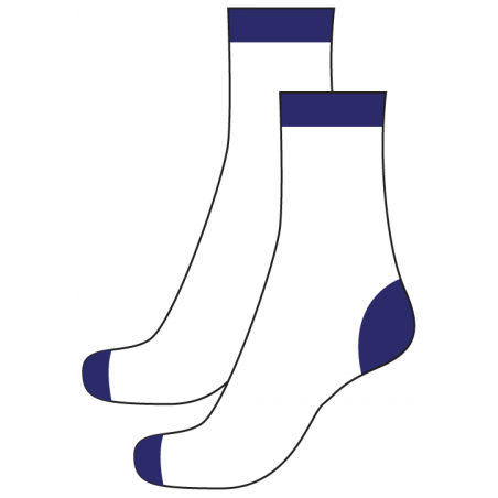 White Socks (Daily) -- [YEAR 1 - YEAR 6]