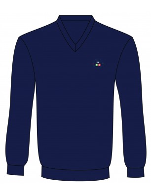 Navy Blue V-Neck Sweater With Logo