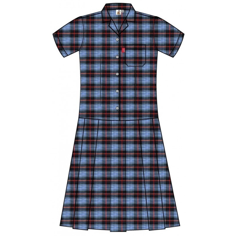 Tartan Dress