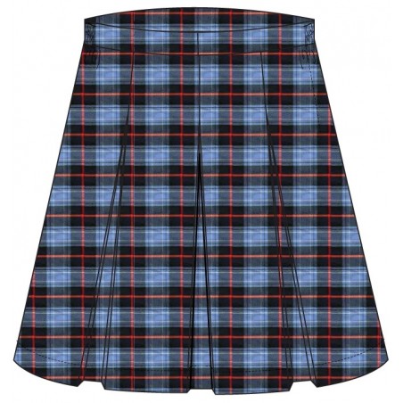 Tartan Skirt