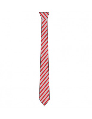 Clip On Tie -- [GRADE 6 - GRADE 12]