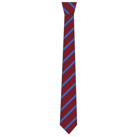 Stripe Tie -- [YEAR 7 - YEAR 11]