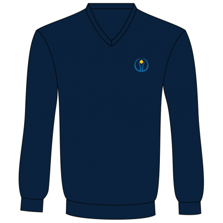 Navy Blue V Neck Sweater -- [Pre-K - GRADE 12]